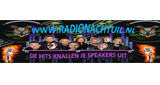 Radionachtuil
