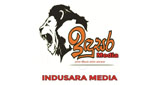 Indusara Radio