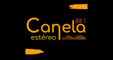 Canela Medellín