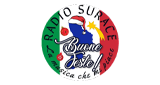 Radio Surace