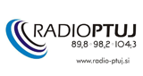 Radio Ptuj