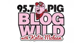 The Big Pig - Today's Sizzlin' Country