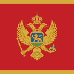 Montenegrin