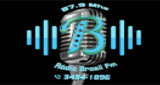 Radio Brasil FM
