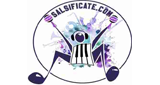 SALSIFICATE.COM