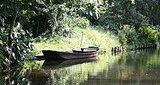 Spreewilder