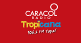 Caracol Tropicana