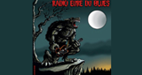 Radio Eure du Blues